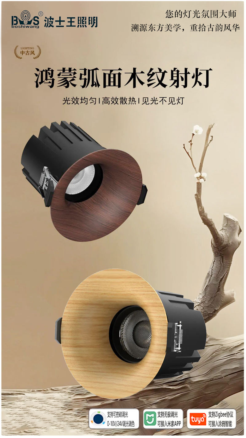 S5055YT鸿蒙 弧面射灯11.jpg