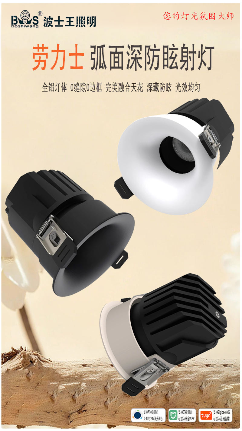 S2007YX劳力士 弧面射灯2.jpg