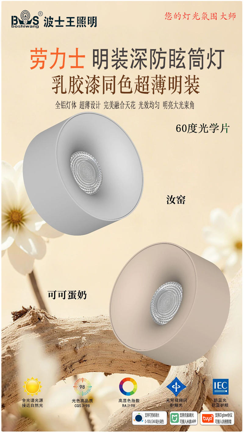 乳胶漆 劳力士 明装光学片款2.jpg