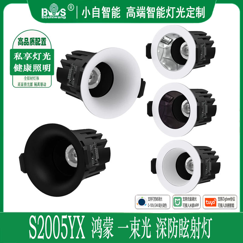 S2005YX鸿蒙 一束光.jpg