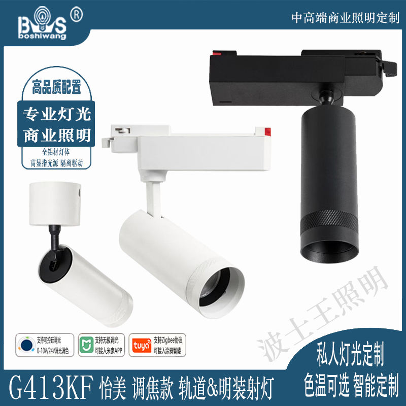 G413KF怡美 调焦 轨道射灯.jpg
