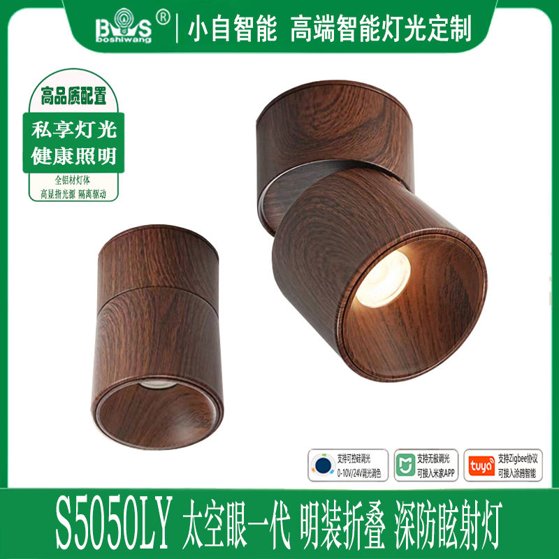 S5050LY太空眼 明装折叠 中古风.jpg