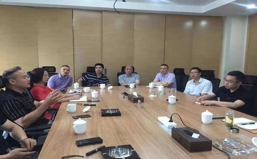 集团董事长陈辉受大足区政府张明常委邀请考察调研龙水湖项目