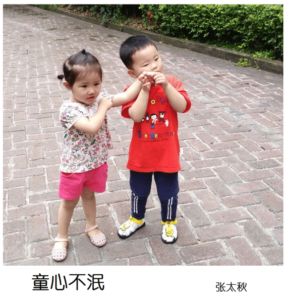 2019上期摄影班学员张太秋作品1