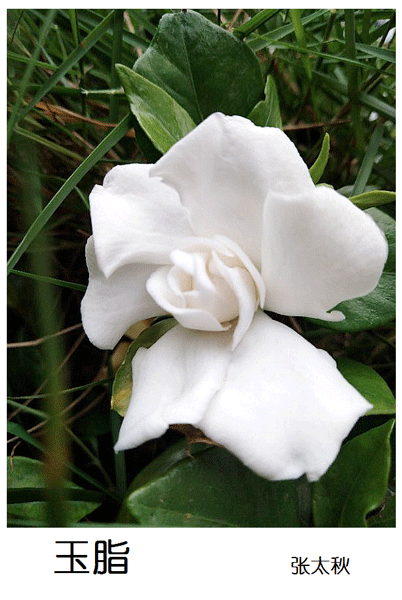 2019上期摄影班学员张太秋作品2