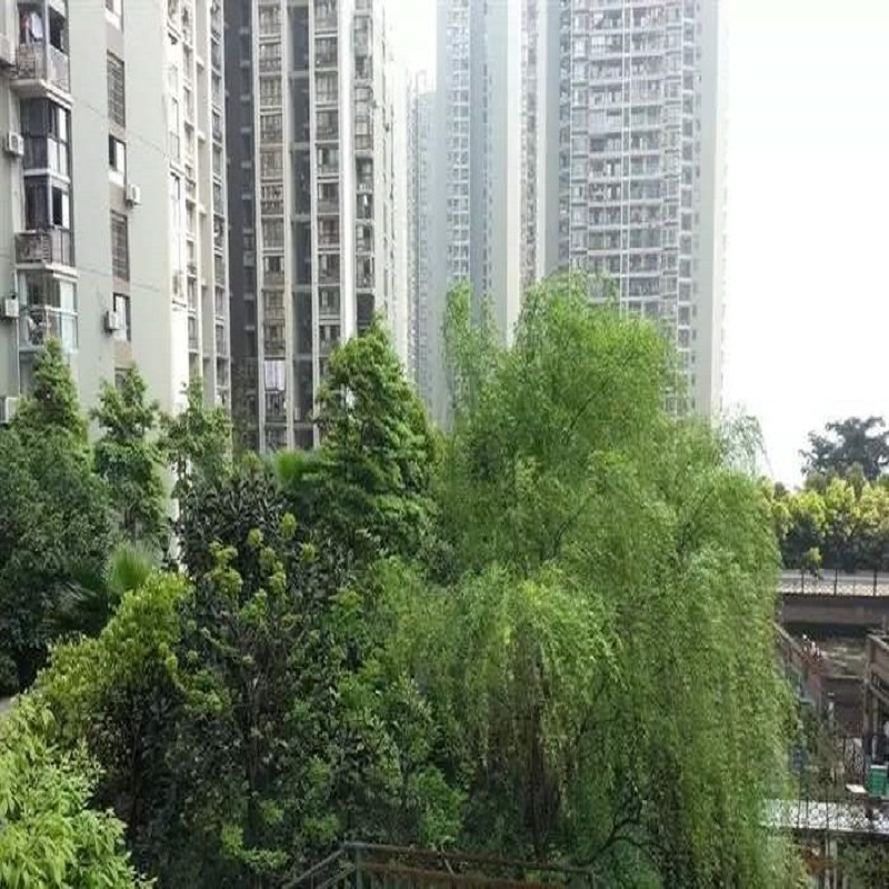 施工案例-东海岸