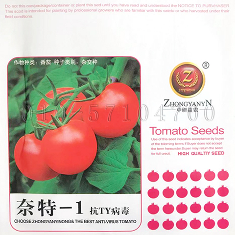 奈特-1番茄种子抗TY枯萎黄萎病红果番茄种子 节间短西红柿蔬菜籽