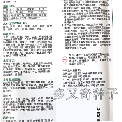 京春黄3号白菜种子京研黄心大白菜种子早熟晚抽薹春秋白菜种子 大白菜种子 叶菜类种子 在线商城 多又奇种子网