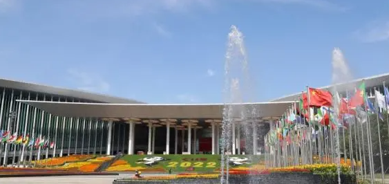 为中国消费者定制 反哺全球市场