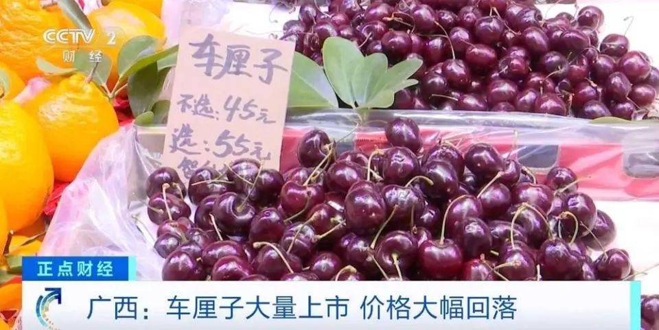 20250108101304_40048.jpg 微信图片_20250108101100.jpg