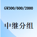 国威GW300/GW600/GW2000-中继分组-电话路由-功能设置