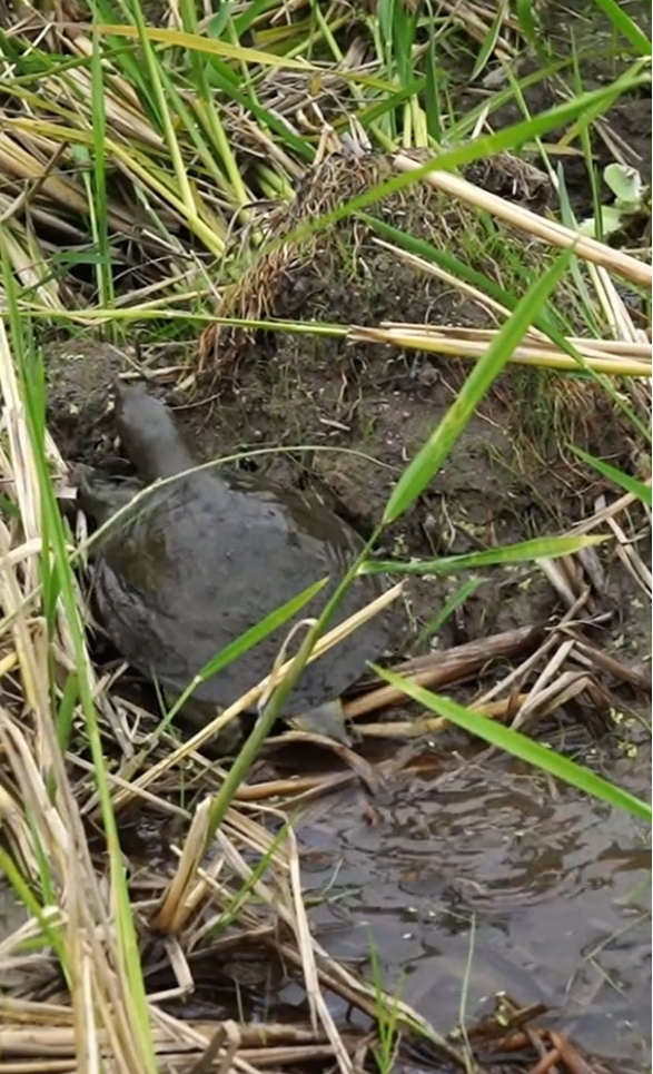 20240914152025_91826.png 1.png