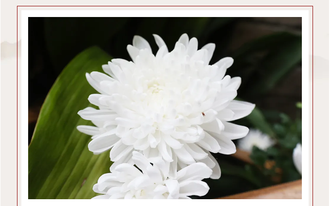 20240407152000_18087.png image.png