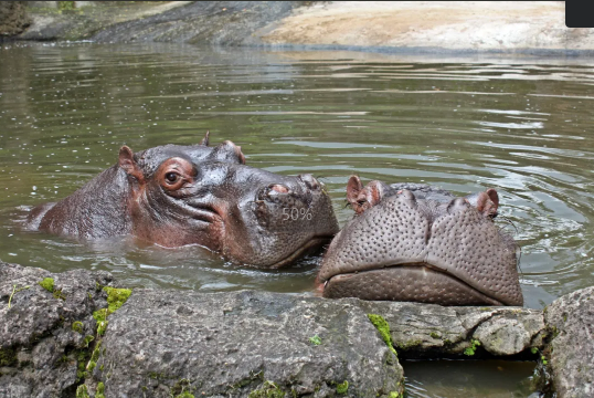 20240717161837_80932.png image.png