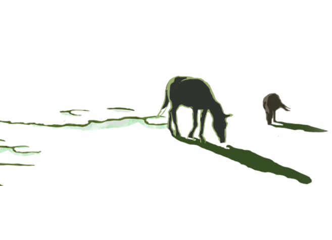 20241217155704_53019.png image.png