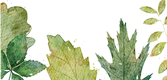 20250511161332_39677.png image.png