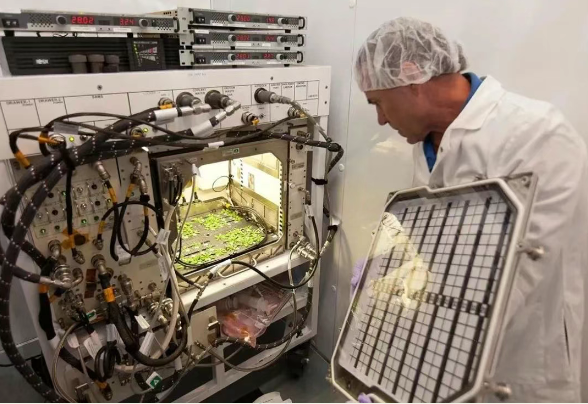 20250819155117_33064.png image.png