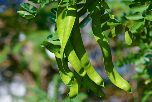 20260226164330_72438.png image.png