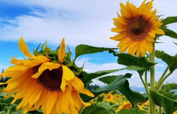 20260327163649_56229.png image.png