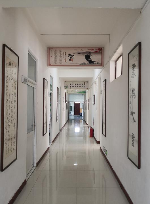 20200828150429_58791.jpg 5.jpg