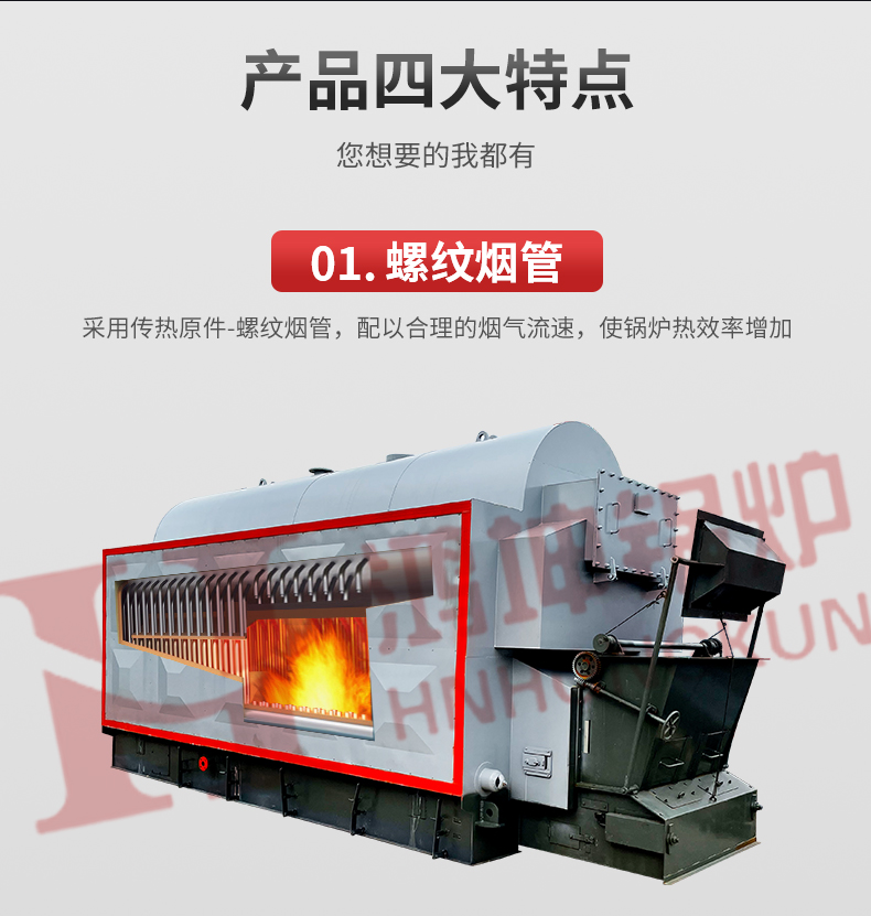 生物質(zhì)熱水鍋爐_07.jpg