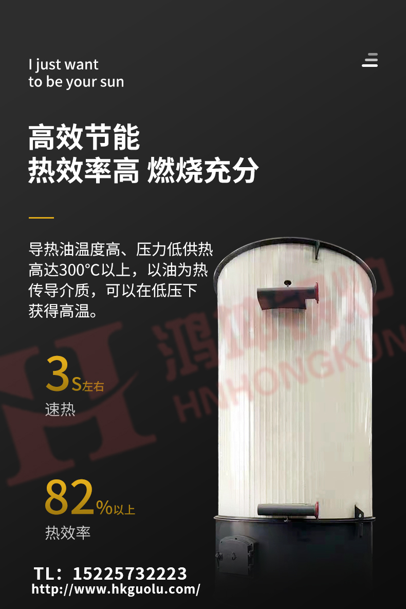生物質導熱油鍋爐_04.jpg