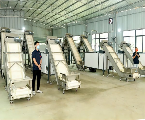 文昌蓬莱胡椒加工厂