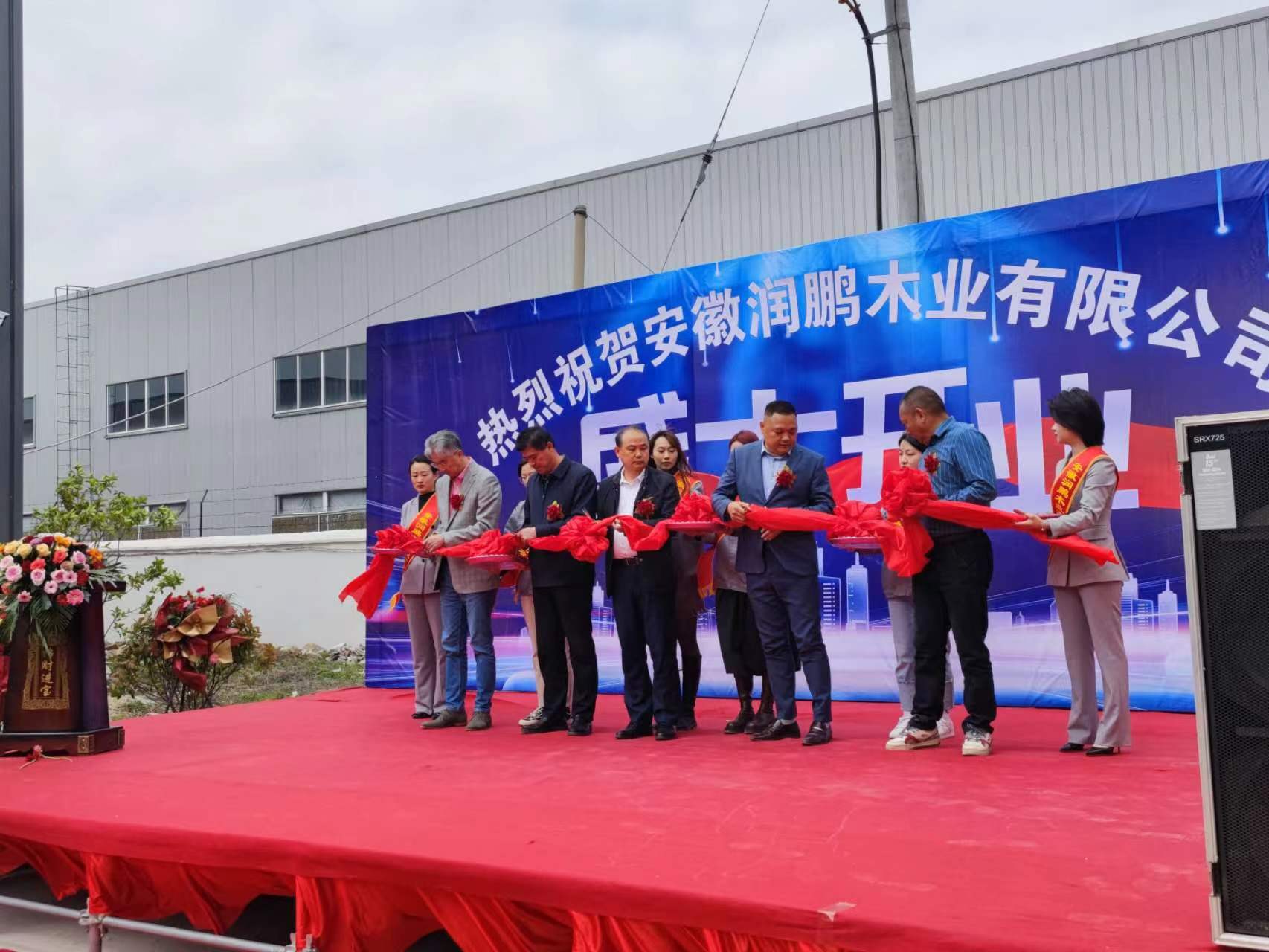 安徽省湖南商会副会长企业——安徽润鹏木业有限公司新厂盛大开业