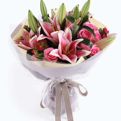 【隐形的翅膀】24朵粉百合花束-百合-鲜花-商城产品-首页