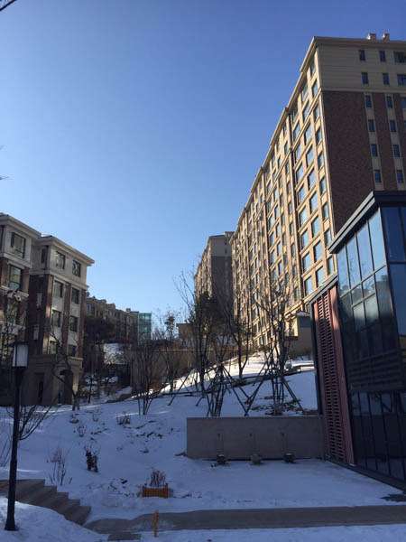 吉林省延吉市苏州印象小区场坪和地基处理工程设计