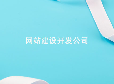 网站建设开发公司