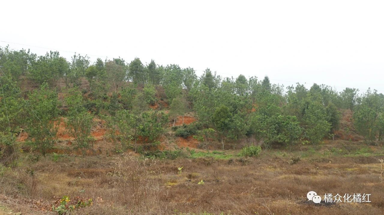 20210302141957_14917.jpg 0.jpg