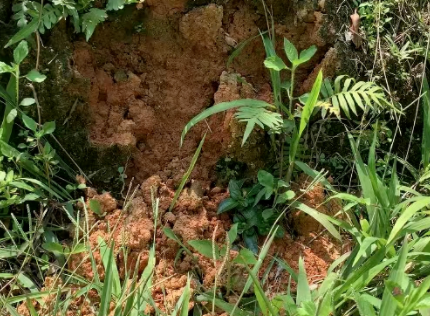 20220510100111_11656.png image.png