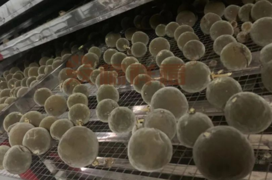 20220526152515_90726.png image.png