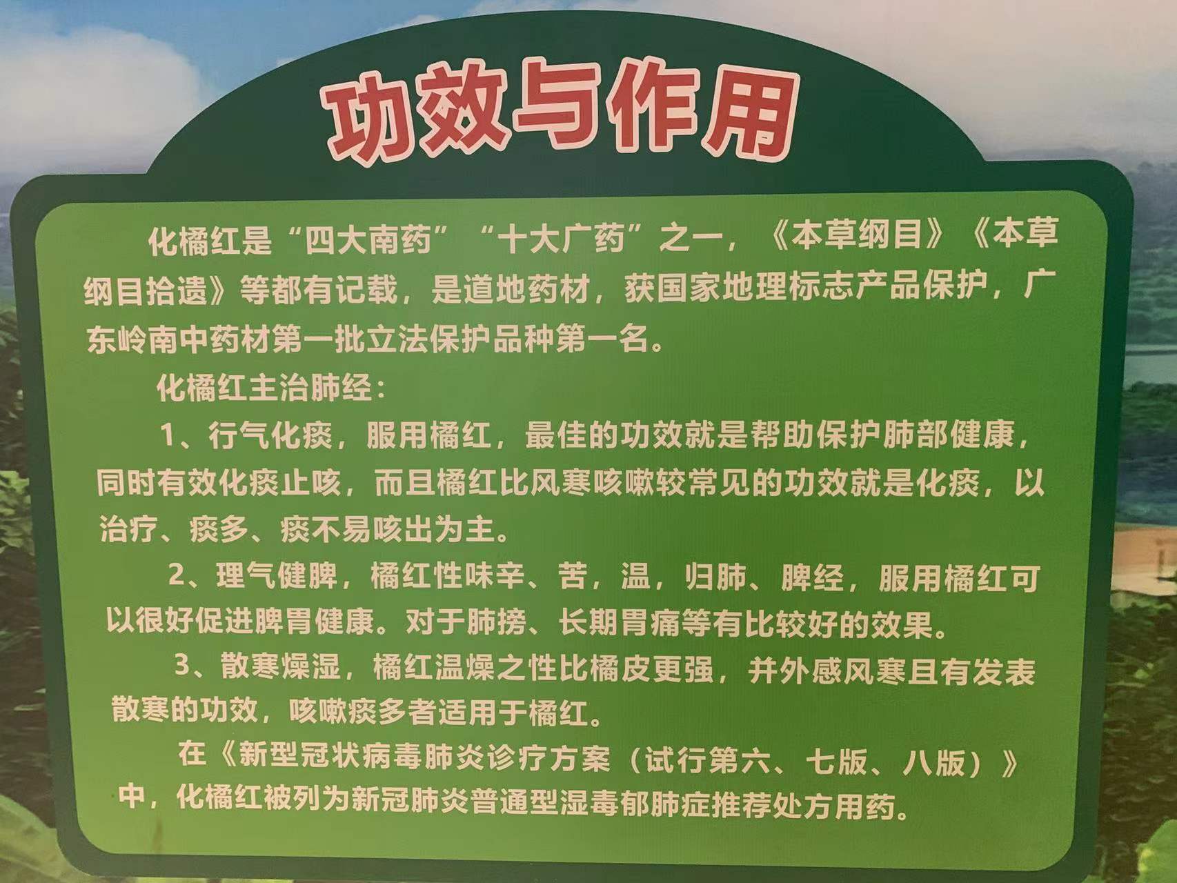 20220627163441_52475.jpg 橘红作用.jpg