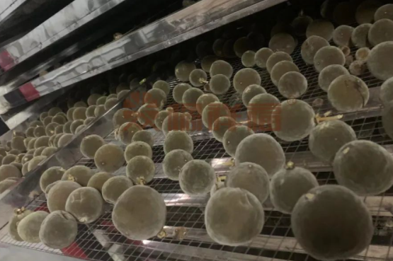 20230312140427_85997.png image.png