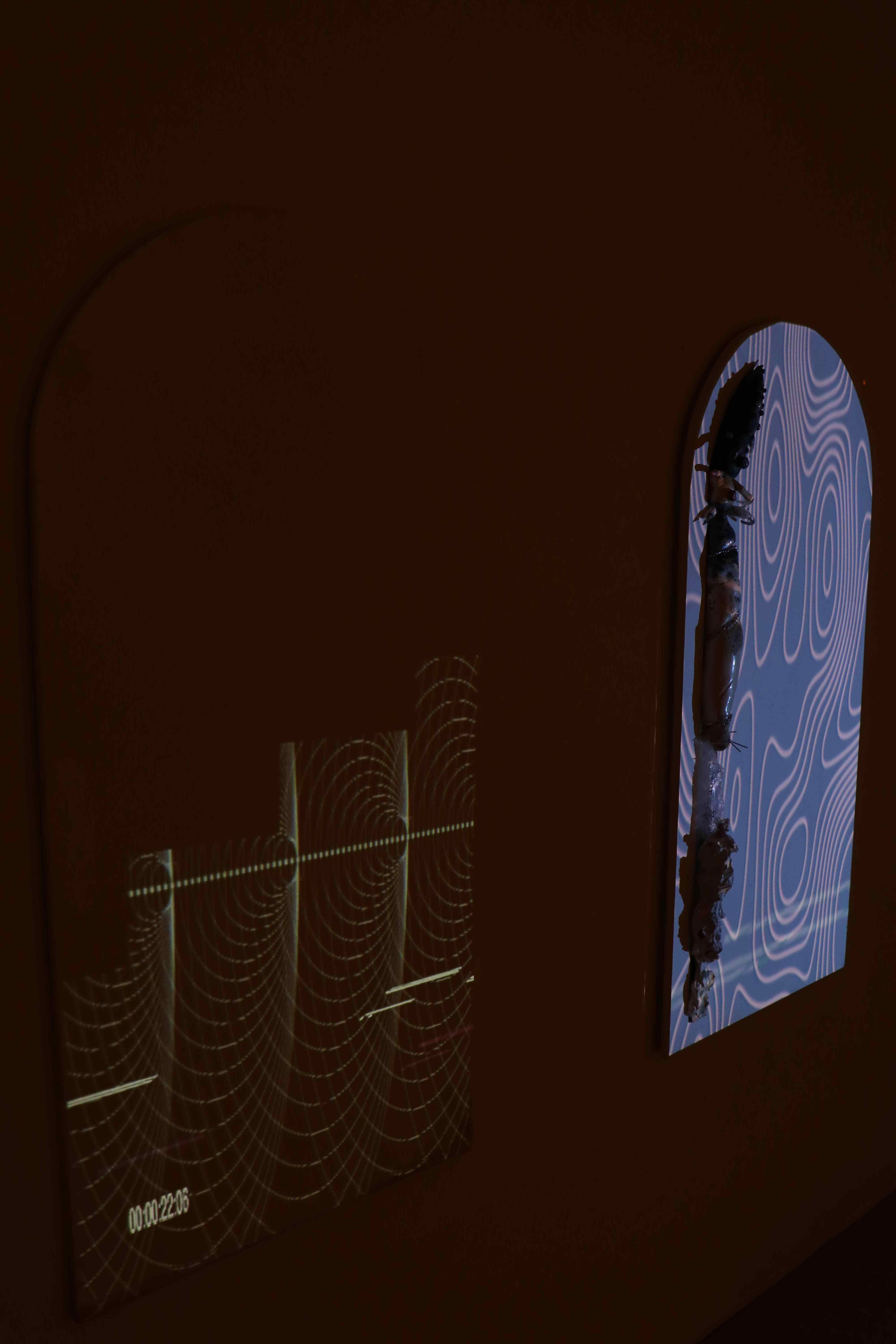 20250603101933_82184.jpg 升降(1).jpg