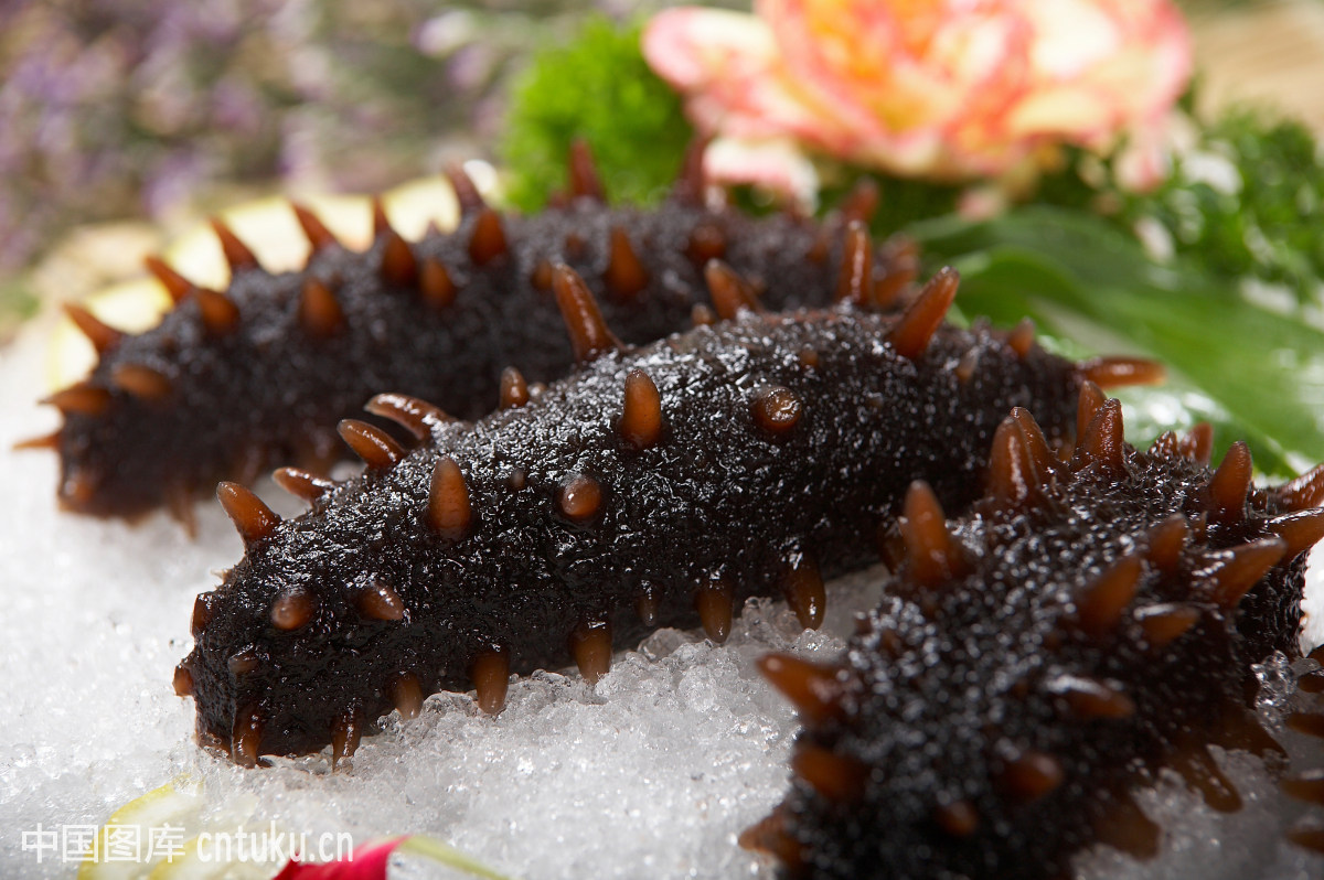 天气异常致减产 济南海参市场本月"涨声一片"