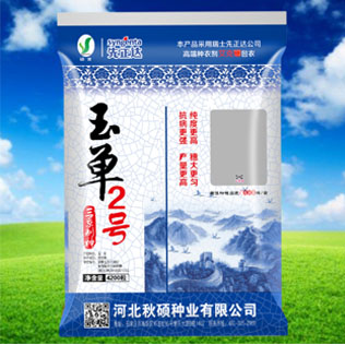 Cloud Zoom small image