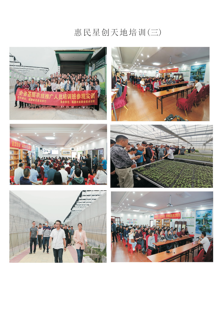 创新创业活动（三）