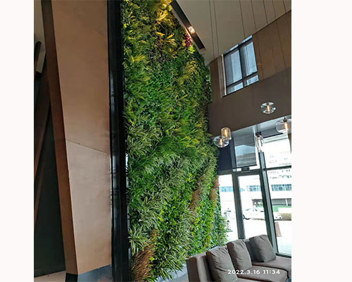 天津泛太平洋酒店大厅植物墙，舍德园林（天津）有限公司 