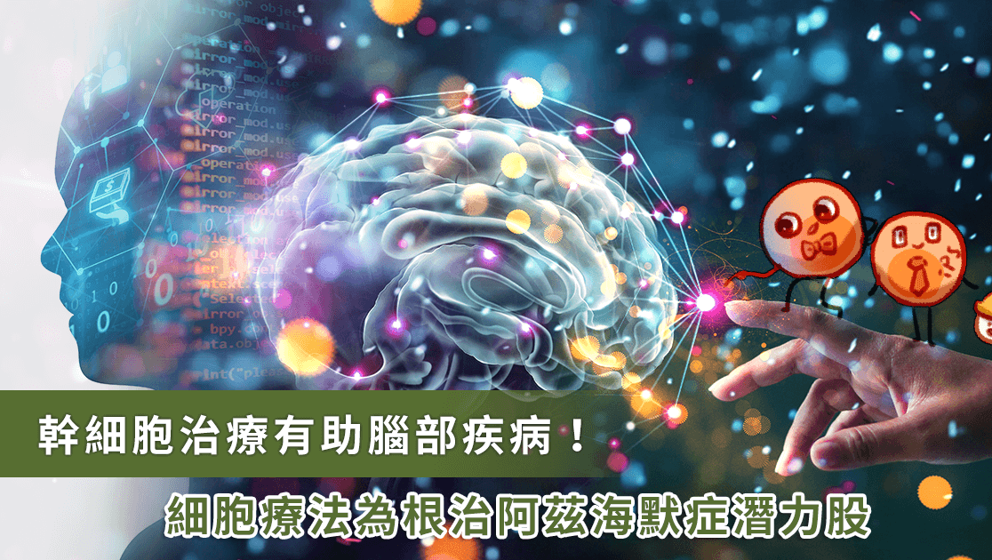 老化让失智、帕金森风险飙升！诺奖团队：干细胞可逆转脑部损坏