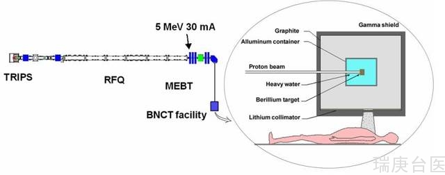 BNCT | 硼中子捕获治疗如何提高脑瘤放疗安全性