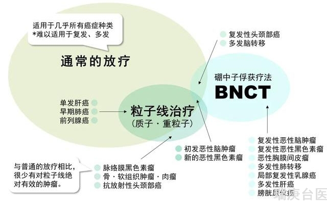 北京大学博士团队 | 新型含硼脂质体用于辅助硼中子俘获治疗