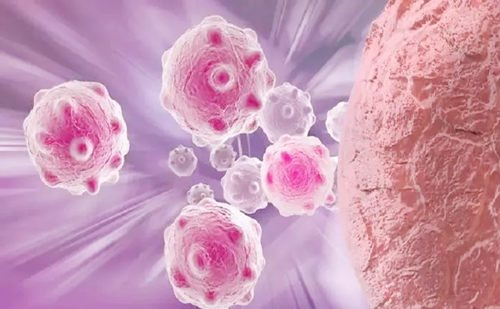 BNCT | “相爱相杀”的癌细胞与硼中子