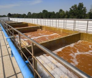 聊城某屠宰有限公司