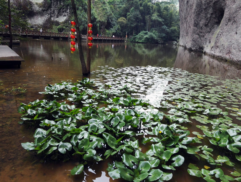 堰塞湖春