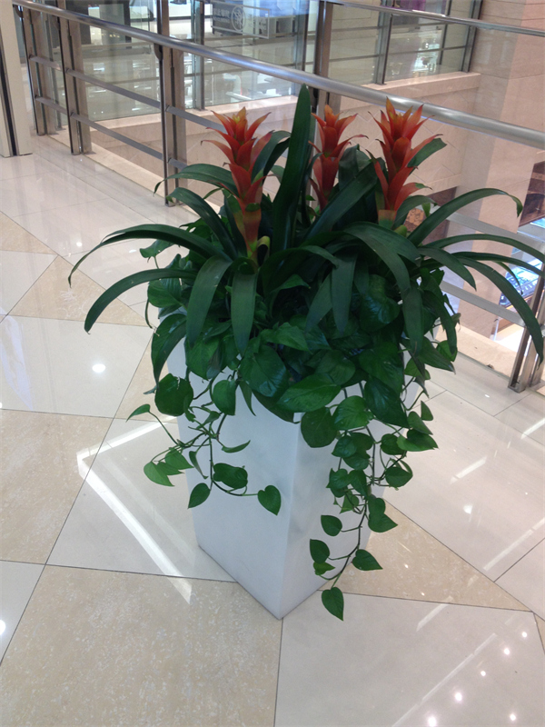 Cloud Zoom small image