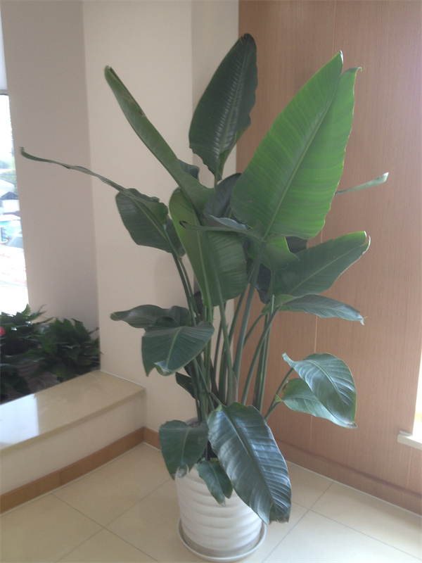 Cloud Zoom small image