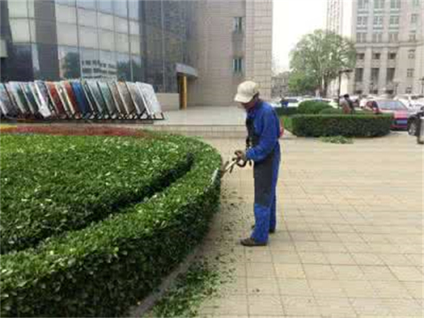 Cloud Zoom small image